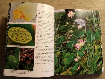 Livre "Plantes aquatiques et de terrains humides"