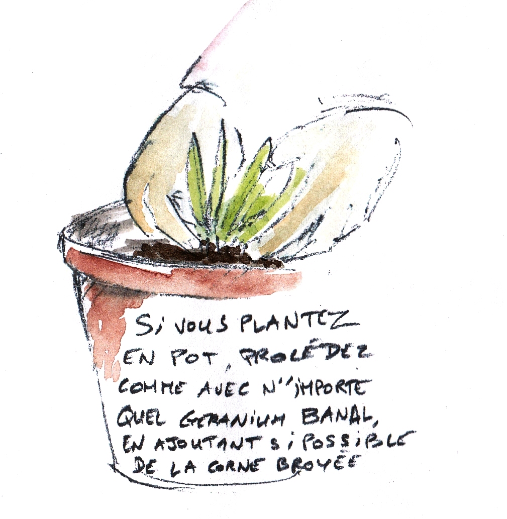 Dessin FAQ 3