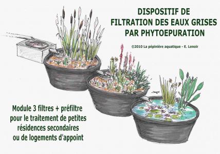 Kit phytoépuration eaux grises