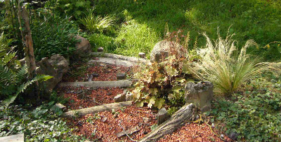 Plantations de deux ans